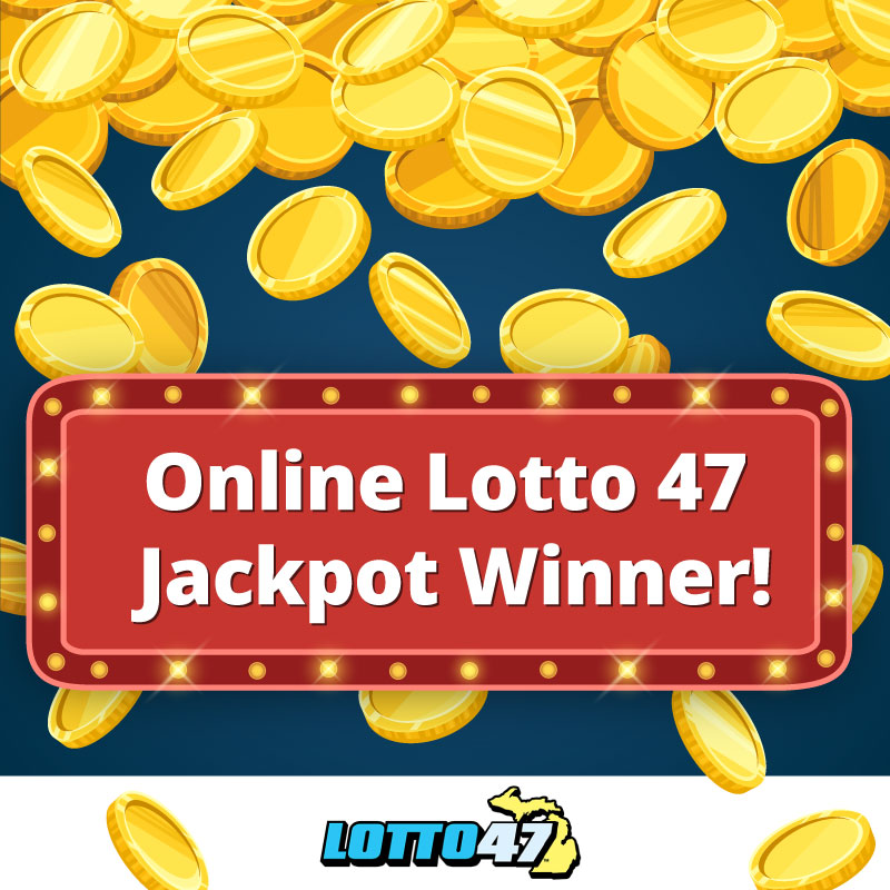 Wild Card City Online Casino - Testimonial for Understood Brand Name